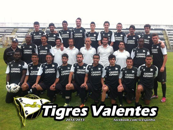 Fotografia de plantel — 2012-13